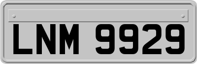 LNM9929