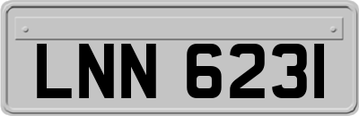 LNN6231