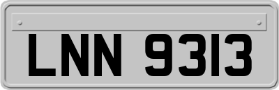 LNN9313