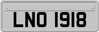 LNO1918