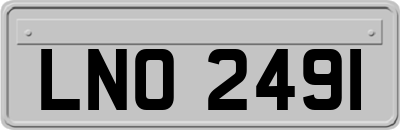 LNO2491