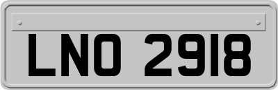 LNO2918