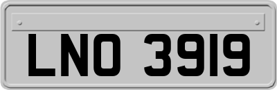 LNO3919