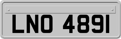 LNO4891