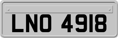 LNO4918