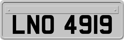 LNO4919