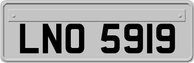 LNO5919
