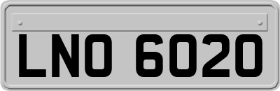 LNO6020