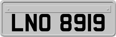 LNO8919