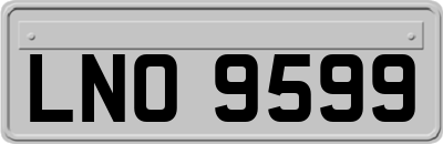 LNO9599