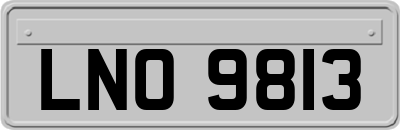 LNO9813