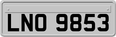 LNO9853