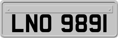 LNO9891