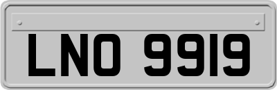 LNO9919