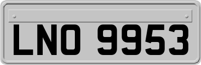 LNO9953