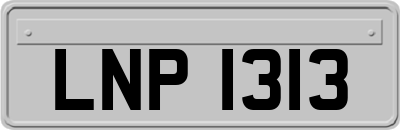 LNP1313