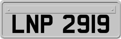 LNP2919