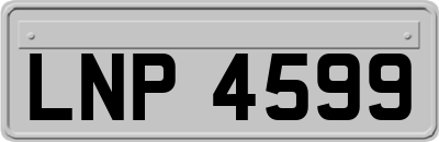 LNP4599