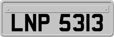 LNP5313