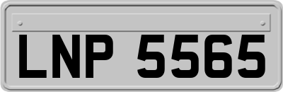 LNP5565