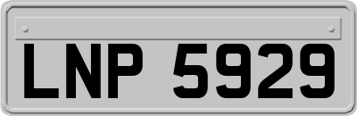 LNP5929