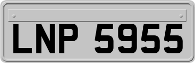 LNP5955