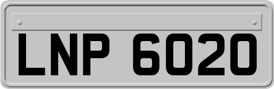 LNP6020