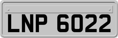 LNP6022