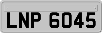 LNP6045
