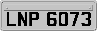 LNP6073