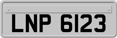 LNP6123