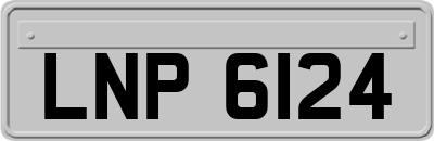 LNP6124