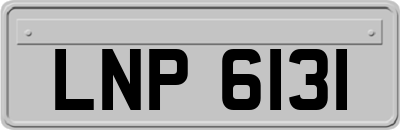 LNP6131