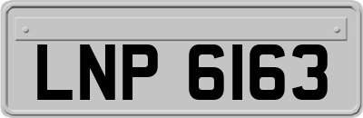 LNP6163