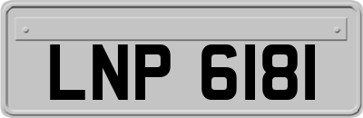 LNP6181
