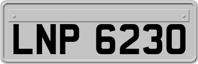 LNP6230