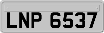 LNP6537