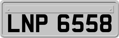 LNP6558