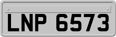 LNP6573