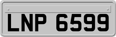 LNP6599