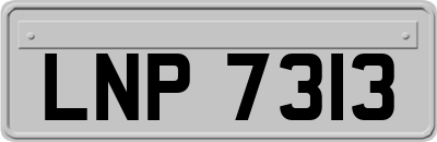 LNP7313