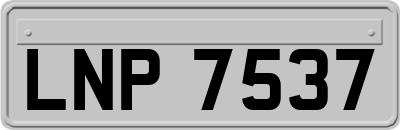 LNP7537