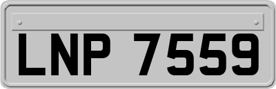 LNP7559