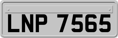 LNP7565