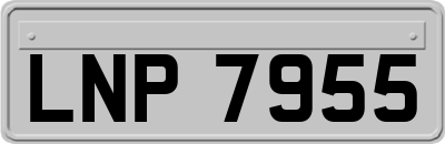LNP7955