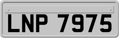 LNP7975