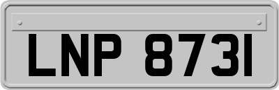 LNP8731