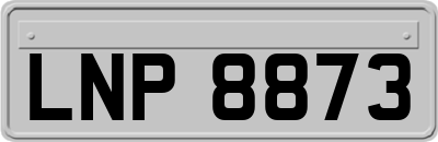 LNP8873