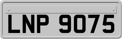 LNP9075
