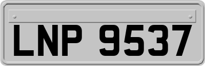 LNP9537